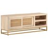 vidaXL TV-Schrank 110x30x40 cm Massivholz Mango und Eisen