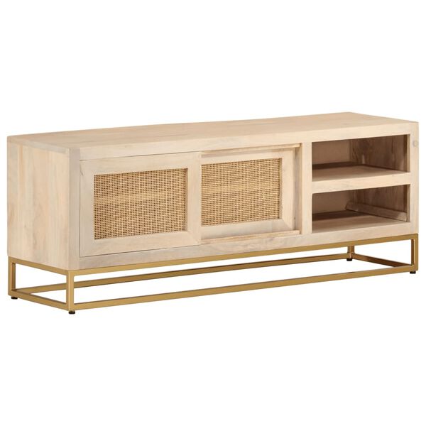 vidaXL TV-Schrank 110x30x40 cm Massivholz Mango und Eisen