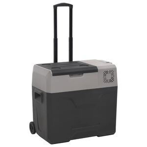vidaXL K&uuml;hlbox mit Rollen und Griff Schwarz & Grau 50 L Polypropylen