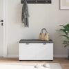 vidaXL Flurbank mit Kissen mit Speicher mit T&uuml;r Wei&szlig; 80 x 46 x 46 cm