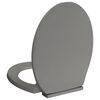 vidaXL Toilettensitz mit Absenkautomatik Grau Oval