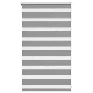 vidaXL Zebra-Rollo 50,9 x 100 cm, Stoffbreite 46,7 cm, grau