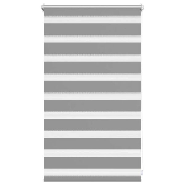 vidaXL Zebra-Rollo 50,9 x 100 cm, Stoffbreite 46,7 cm, grau