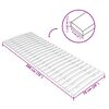 vidaXL Bettlattenrost Ersatz mit 24 Latten 70x200 cm