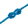 vidaXL Arbeitsseil Blau 6 mm 50 m Polypropylen