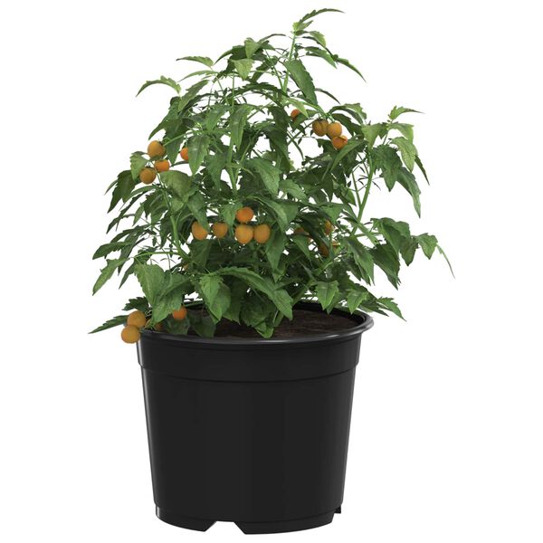 Produktbild 3 von 11 anzeigen