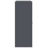 vidaXL Aufbewahrungsschrank Anthrazit 90 x 40 x 105 cm Stahl