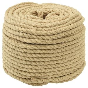 vidaXL Bootsseil 8 mm 250 m Natur
