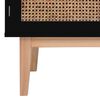 vidaXL Sideboard Schwarz 88,5x40x80 cm MDF und Rattan
