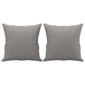 vidaXL Zierkissen 2 Stk. Hellgrau 40x40 cm Stoff