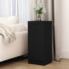 vidaXL Sideboard Schwarz 30x30x70 cm Holzwerkstoff