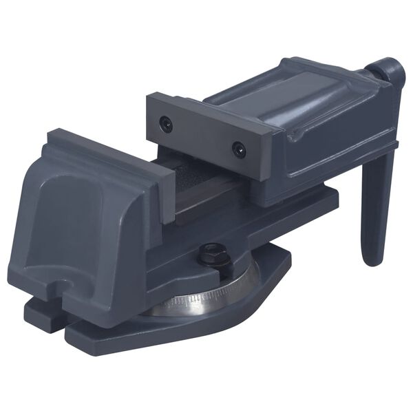 vidaXL Drehtisch-Schraubstock Gusseisen 100 mm