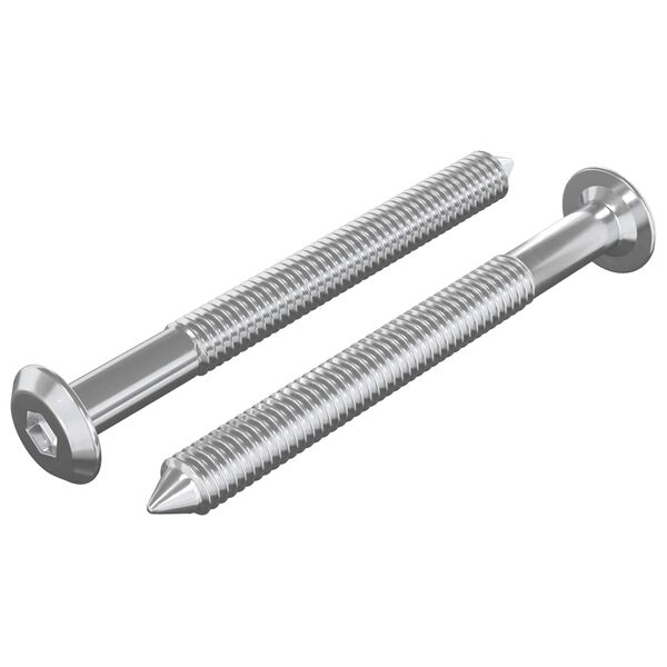 vidaXL M&ouml;bel-Schrauben 2 pcs Silber M6 x 60 mm Stahl