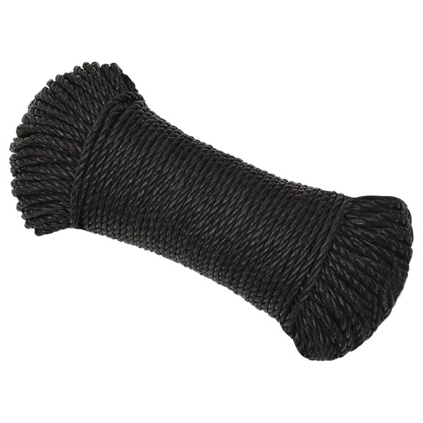 vidaXL Arbeitsseil Schwarz 8 mm 100 m Polypropylen