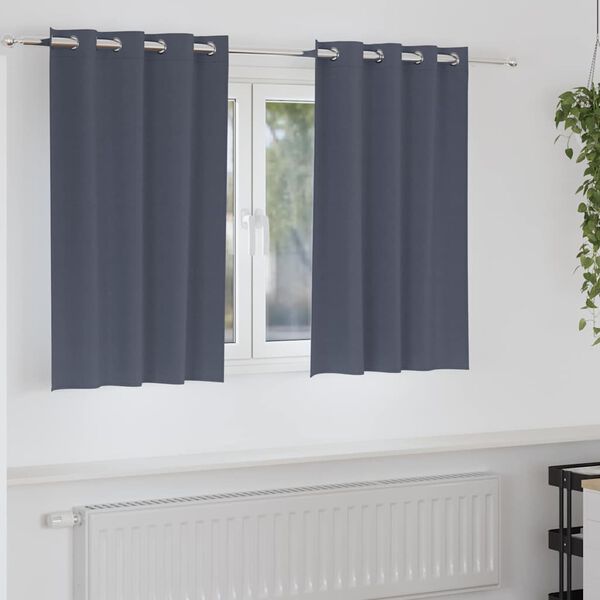 vidaXL Verdunkelungs-Vorh&auml;nge mit Ringen 2 pcs Anthrazit 140 x 140 cm