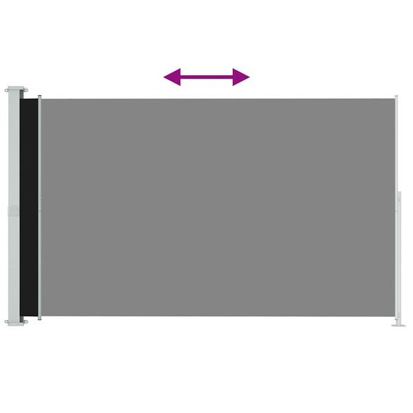 vidaXL Seitenmarkise Ausziehbar 200x300 cm Schwarz