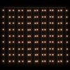 vidaXL LED-Lichtervorhang 3x3 m 300 LED Warmwei&szlig; 8 Funktionen