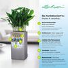 LECHUZA Pflanzgef&auml;&szlig; CANTO Stone 40 High ALL-IN-ONE Steingrau