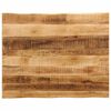 vidaXL Tischplatte mit Baumkante 100x80x3,8 cm Raues Mango Massivholz