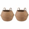 vidaXL Pflanzenk&uuml;bel mit Griffen 2 pcs Natur &Oslash; 45 x 36 cm 100% Seegras