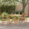 vidaXL Garten Stapelstühle 2 pcs Braun 55.5 x 55.5 x 90 cm