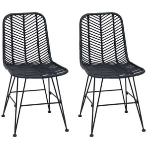 vidaXL Esszimmerstuhl 2 stk. Rattan und Eisen Schwarz