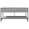 vidaXL Couchtisch Grau Sonoma 100x50x50 cm Holzwerkstoff und Metall