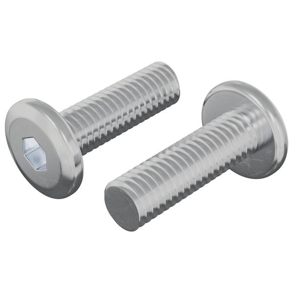 vidaXL Schraube 2 pcs Silber 8 x 25 mm Stahl