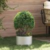 vidaXL Gartenblumentopf Silber 30 x 30 x 20 cm Edelstahl