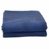 vidaXL Zeltteppich Blau 800 x 350 cm Polyester
