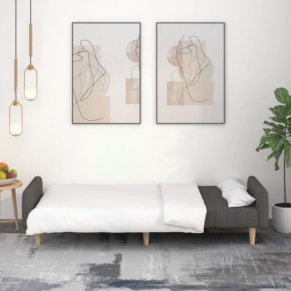 vidaXL Schlafsofa 2-Sitzer Dunkelgrau Stoff