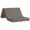 vidaXL Klappsofa Bett 100 x 67 x 45 cm Hellgrau