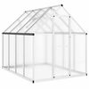 vidaXL Gew&auml;chshaus mit Fundamentrahmen Silber 224x169x195cm Aluminimum