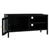 vidaXL TV-Schrank Schwarz 90x30x44 cm Stahl und Glas