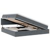 vidaXL Bett mit Stauraum und LED Dunkelgrau 200 x 200 cm Samt