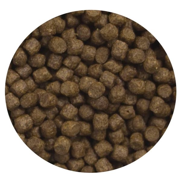 Produktbild 1 von 3 anzeigen