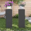vidaXL Pflanzenst&auml;nder 2 pcs Schwarz 24 x 24 x 75 cm Stahl