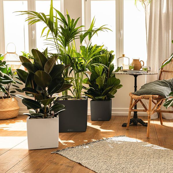 LECHUZA Pflanzgef&auml;&szlig; CUBE 30 ALL-IN-ONE Kohlegrau-Metallic