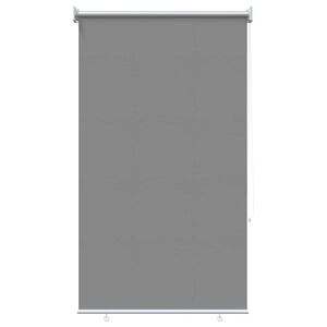 vidaXL Au&szlig;en-Rollos mit UV-Schutz Hellgrau 100 x 230 cm (B x H)