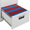 vidaXL Aktenschrank Hellgrau 46x62x133 cm Stahl