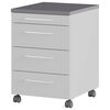 Germania Rollschrank GW-Profi 2.0 42x49x61 cm Hellgrau und Graphit