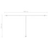 vidaXL Standmarkise Manuell Einziehbar 600x300 cm Anthrazit