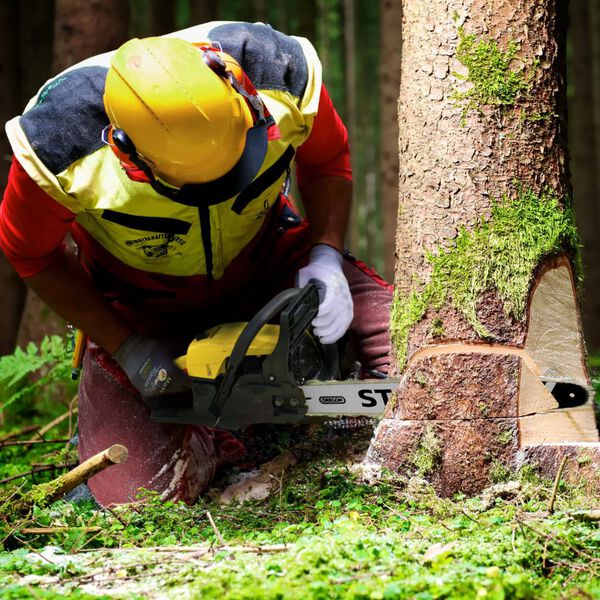 Stanley Benzin-Kettens&auml;ge 1800 W