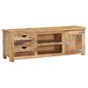 vidaXL TV-Schrank 120x30x40 cm Massivholz Mango