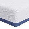vidaXL Matratze Wei&szlig; und Blau 160 x 200 cm Jacquard-Stoff