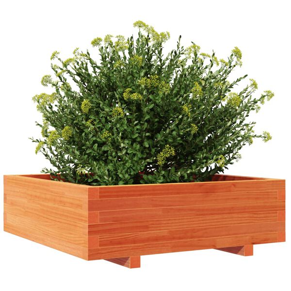 vidaXL Pflanzk&uuml;bel Wachsbraun 80x80x26,5 cm Massivholz Kiefer