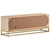 vidaXL TV-Schrank 110x30x40 cm Massivholz Mango und Eisen