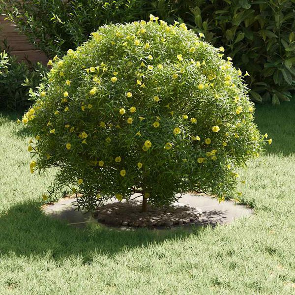 vidaXL geeignet für flache Baumringe 5 pcs Silber Ø30 / 60 cm Edelstahl