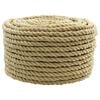 vidaXL Bootsseil 10 mm 250 m Natur