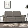 vidaXL 2-Sitzer-Sofa Hellgrau 120 cm Samt